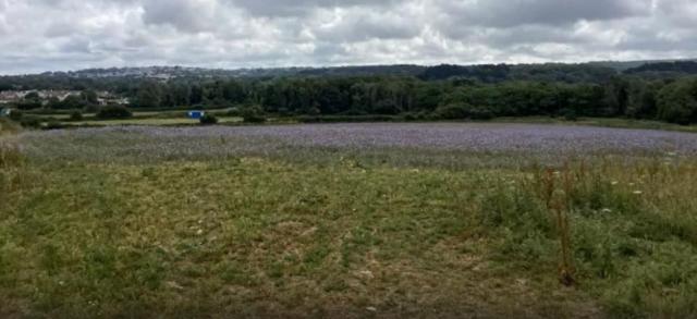 The site of the proposed solar farm looking towards Barripper with Camborne in the distance